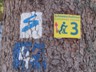 001_Schneeschuh_Schareben-Arber