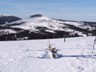 014_Schneeschuh_Schareben-Arber