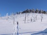 015_Schneeschuh_Schareben-Arber