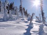 019_Schneeschuh_Schareben-Arber